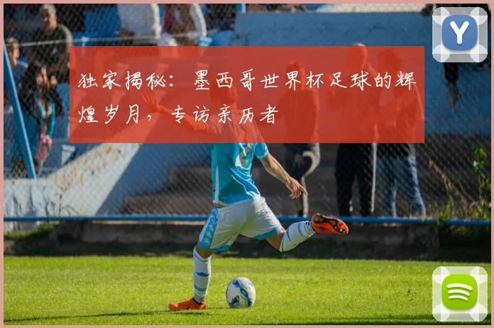 独家揭秘:墨西哥世界杯足球的辉煌岁月,专访亲历者