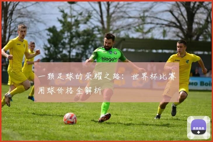 一颗足球的荣耀之路：世界杯比赛用球价格全解析
