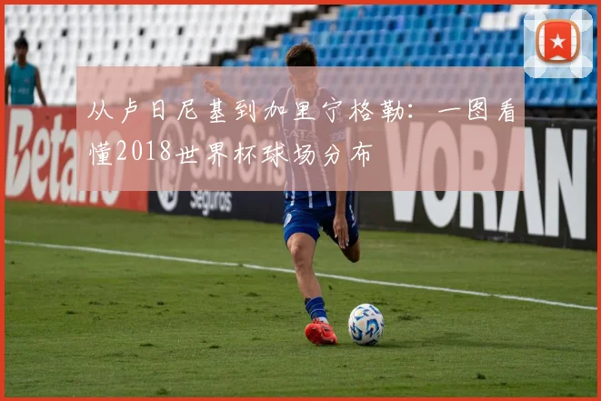 从卢日尼基到加里宁格勒：一图看懂2018世界杯球场分布