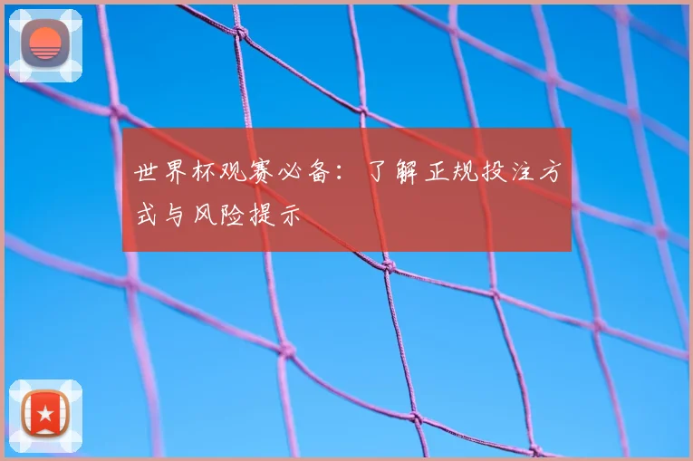 世界杯观赛必备:了解正规投注方式与风险提示