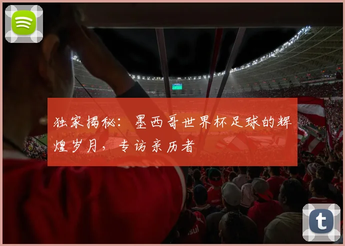 独家揭秘:墨西哥世界杯足球的辉煌岁月,专访亲历者